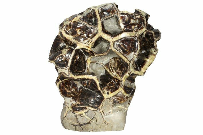 Polished Septarian Spiderweb Sculpture ( lbs) #93160